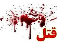 لحظات شوکه‌کننده قتل عام در عمارت ولنجک | وصیت‌نامه اسرارآمیز آقای وکیل