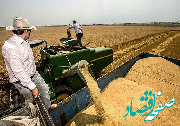 آخرین خبر از خرید تضمینی گندم در لرستان امروز 
18  مرداد ماه 1402
