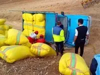 مرگ غم انگیز  یک مرد بین رنگ های شاد ! / در اثر واژگونی نیسان جونیور رخ داد 