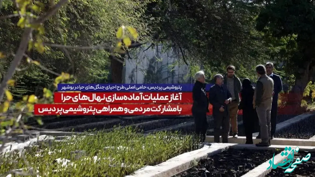 آغاز عملیات آماده‌سازی نهال‌های حرا با مشارکت مردمی و همراهی پتروشیمی پردیس