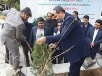 غرس سه نهال در سازمان تأمین‌اجتماعی به نام سه شهید این سازمان