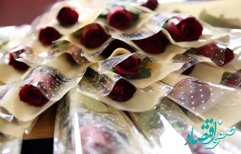 تقدیر از همکاران خانم همزمان با سال روز ولادت حضرت فاطمه زهرا (س) و روز زن