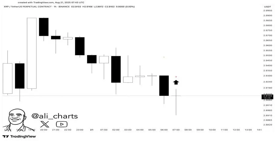 xrp-army-on-alert-as-another-key-indicator-flashes-green