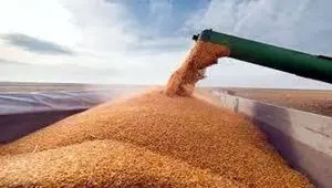 رتبه سوم ایران در آسیا در ذخیره‌سازی غلات | ایران چه میزان غلات ذخیره کرده است؟