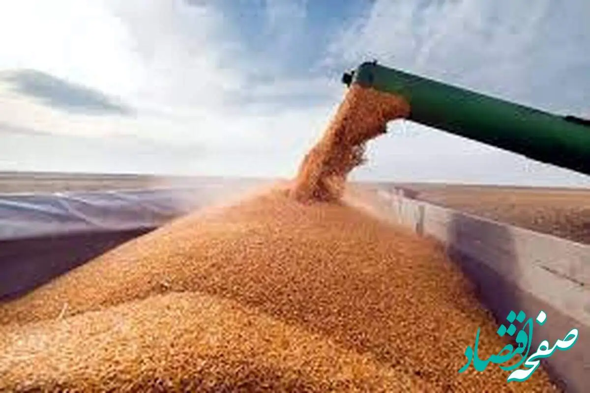 رتبه سوم ایران در آسیا در ذخیرهسازی غلات | ایران چه میزان غلات ذخیره کرده است؟