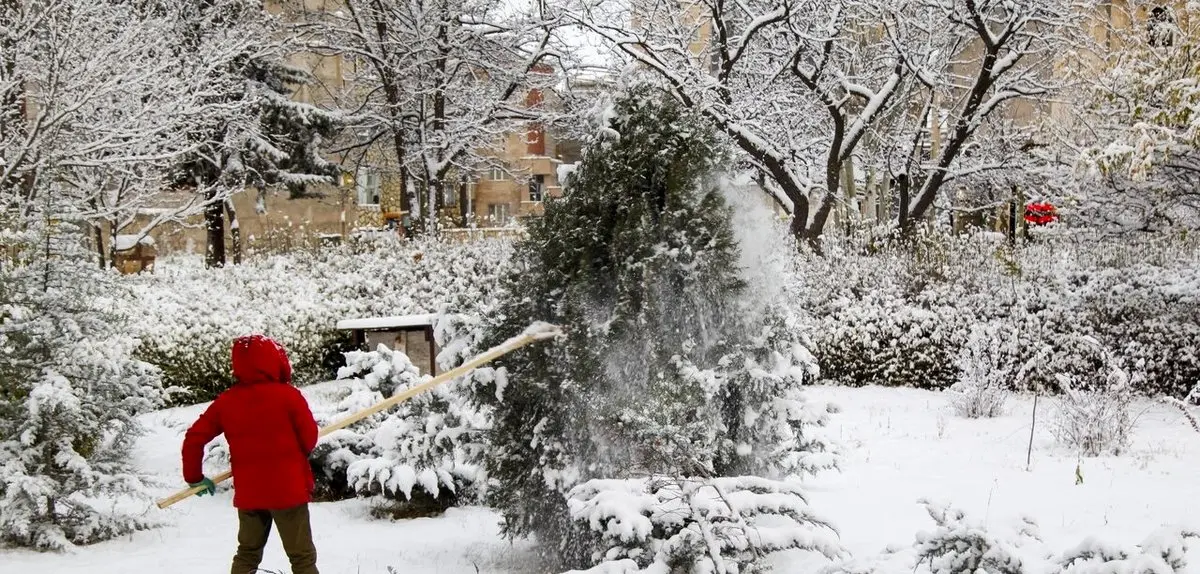 بارش برف سنگین در اردبیل