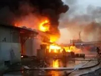 جزئیات آتش سوزی در شرکت تولید مرغ تویسرکان اعلام شد