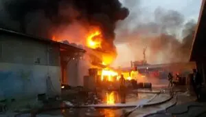 جزئیات آتش سوزی در شرکت تولید مرغ تویسرکان اعلام شد