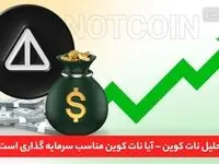 آیا نات کوین برای سرمایه گذاری مناسب است؟