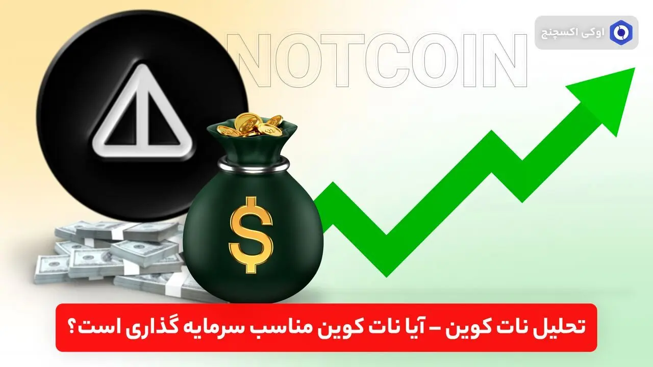 آیا نات کوین برای سرمایه گذاری مناسب است؟