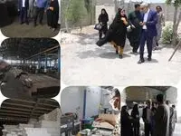 بازدید مدیرعامل سازمان منطقه آزاد چابهار از واحدهای تولیدی منطقه