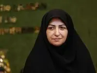 واکنش رییس سازمان حفاظت محیط زیست به تخریب این جنگل چه بود؟ 